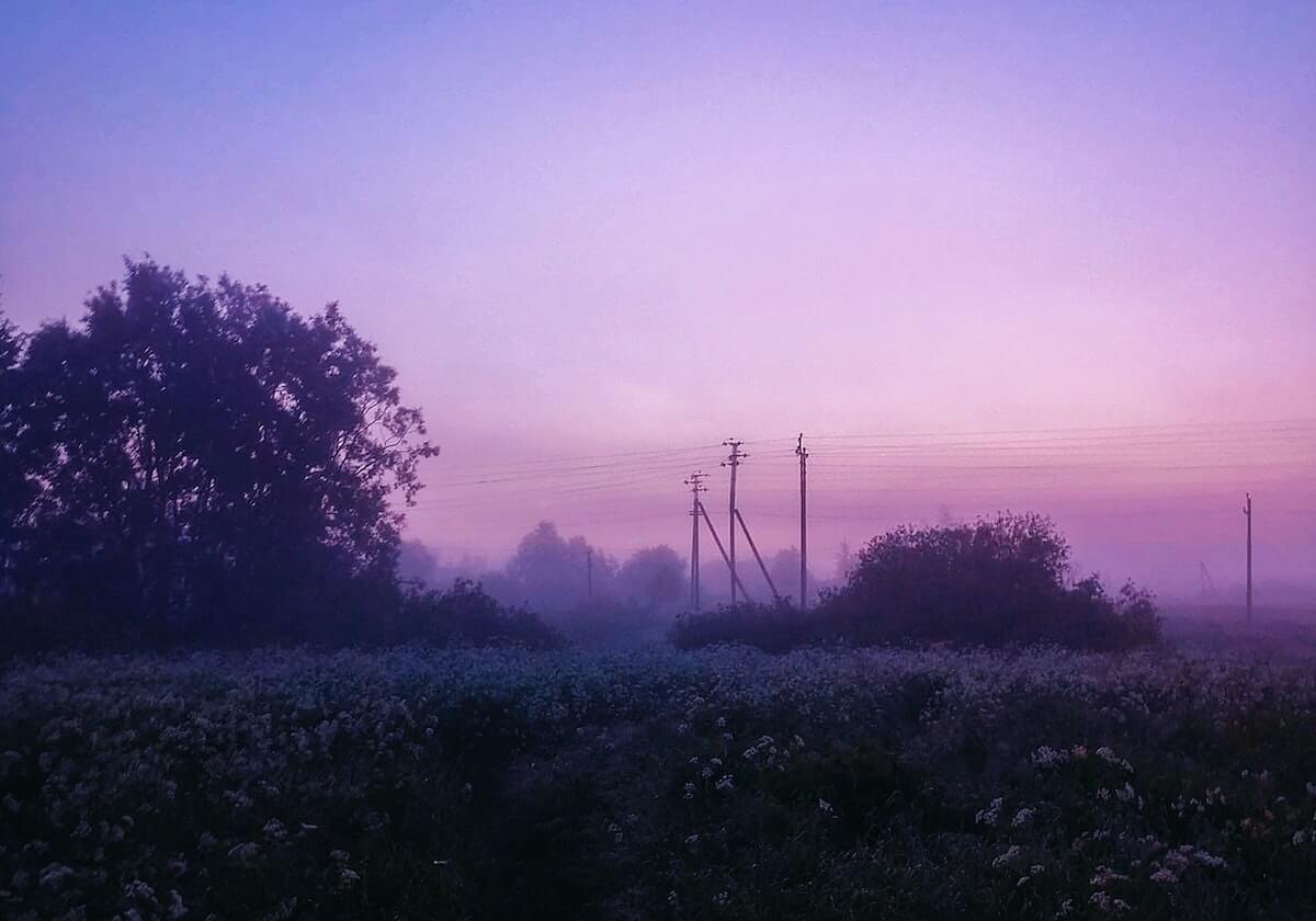开云官网:奢华时尚的数字化殿堂