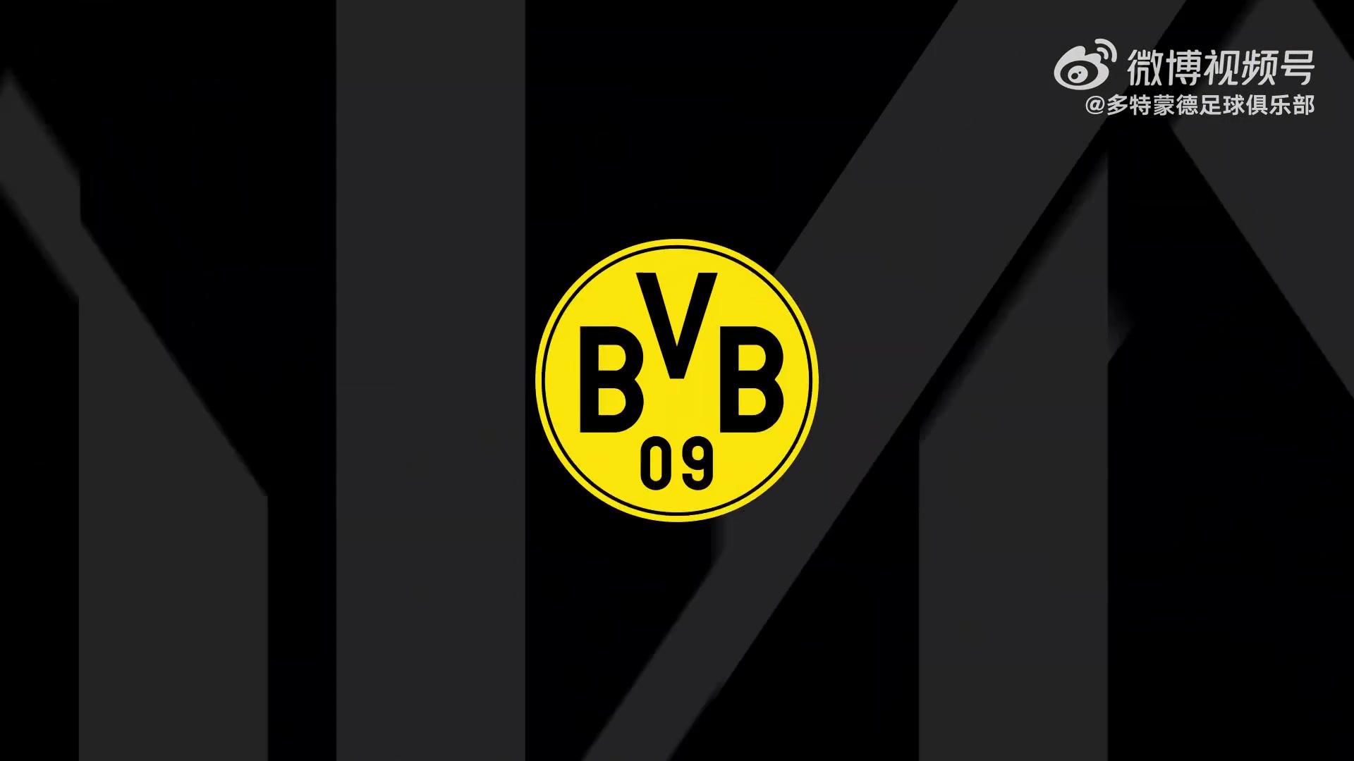 九游娱乐-樊振东与波尔到访多特+踢球🤣樊振东调侃:尽力了但踢得不咋地